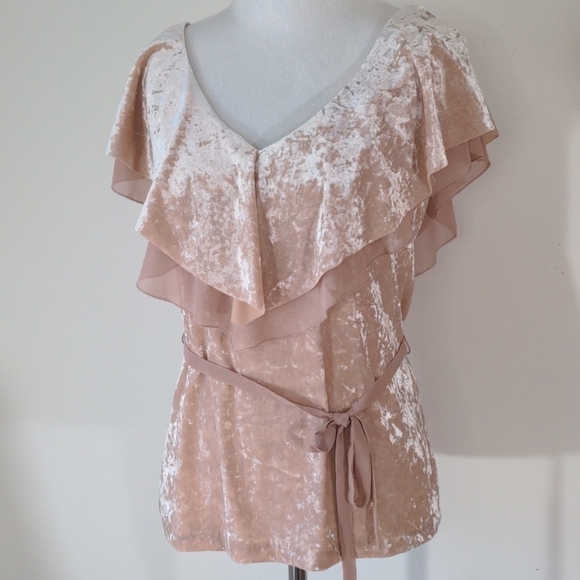 White House Black Market SS Velvet Flounce Top - Picture 4 of 8